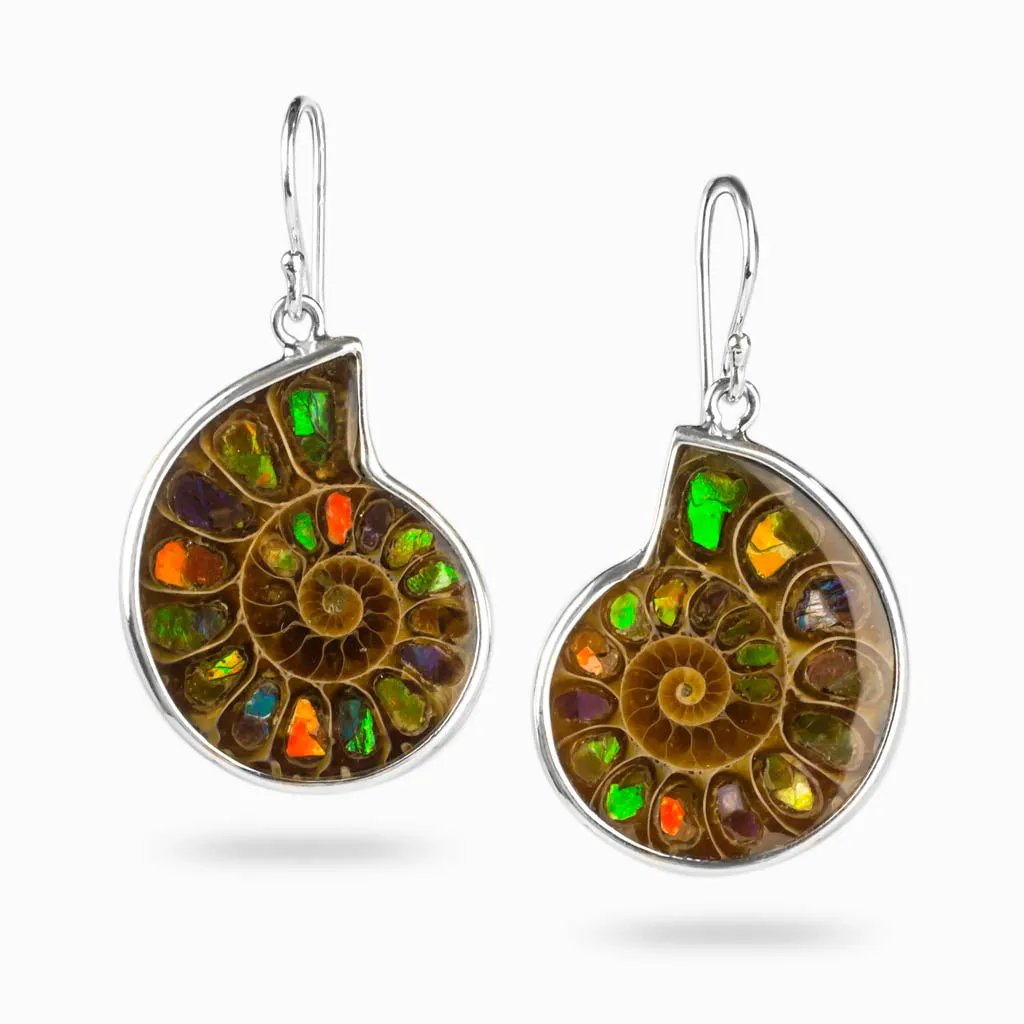 Ammolite Drop Earrings