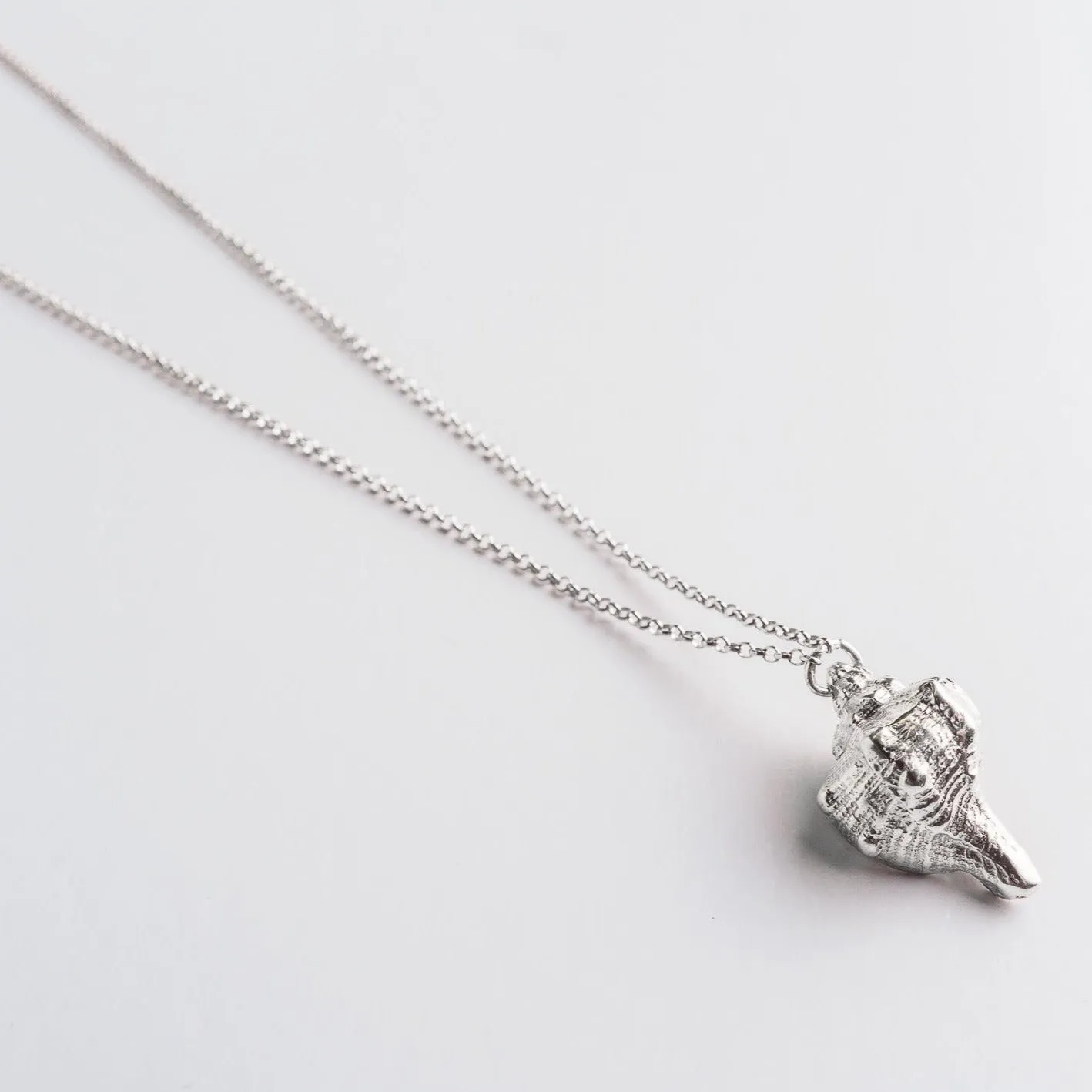 Extravaganza seashell - long chain necklace - silver 925