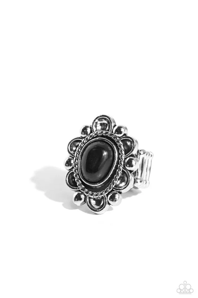 Paparazzi Ring ~ Desert Prairie - Black