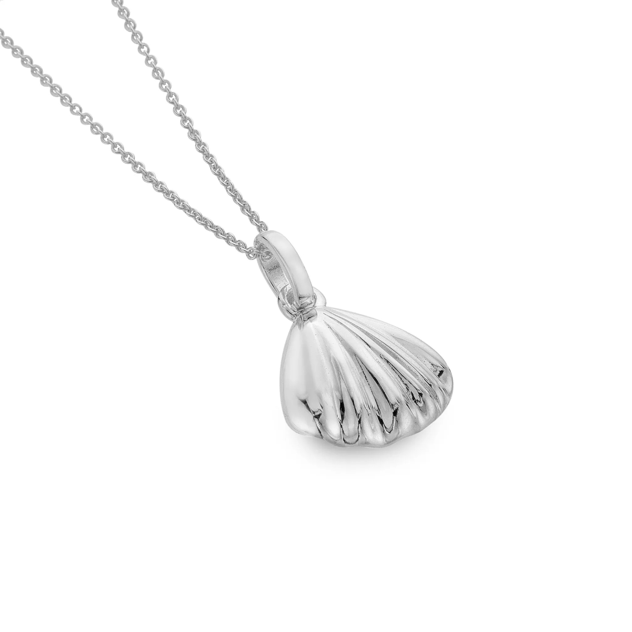 Shoreline Shell Pendant