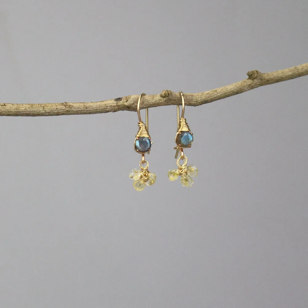 Small Labradorite Citrine Clover Earrings