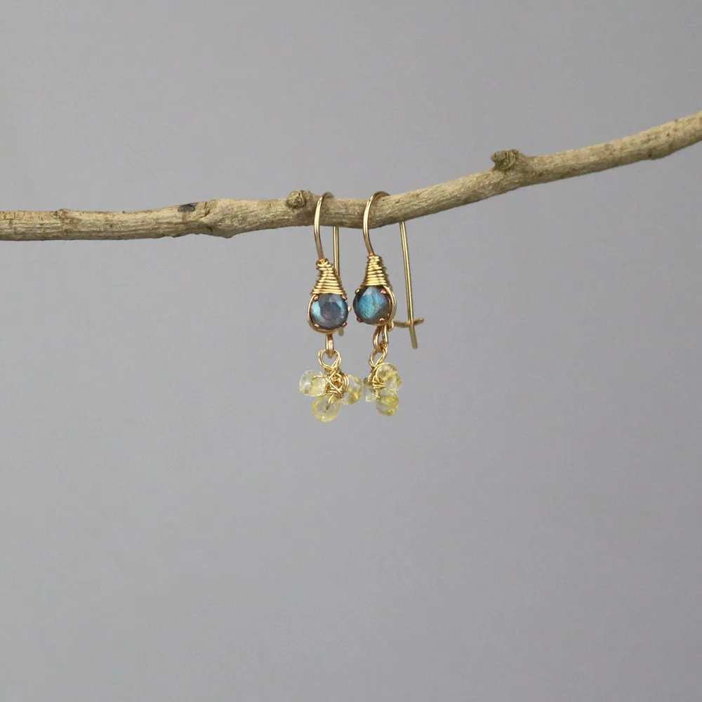 Small Labradorite Citrine Clover Earrings