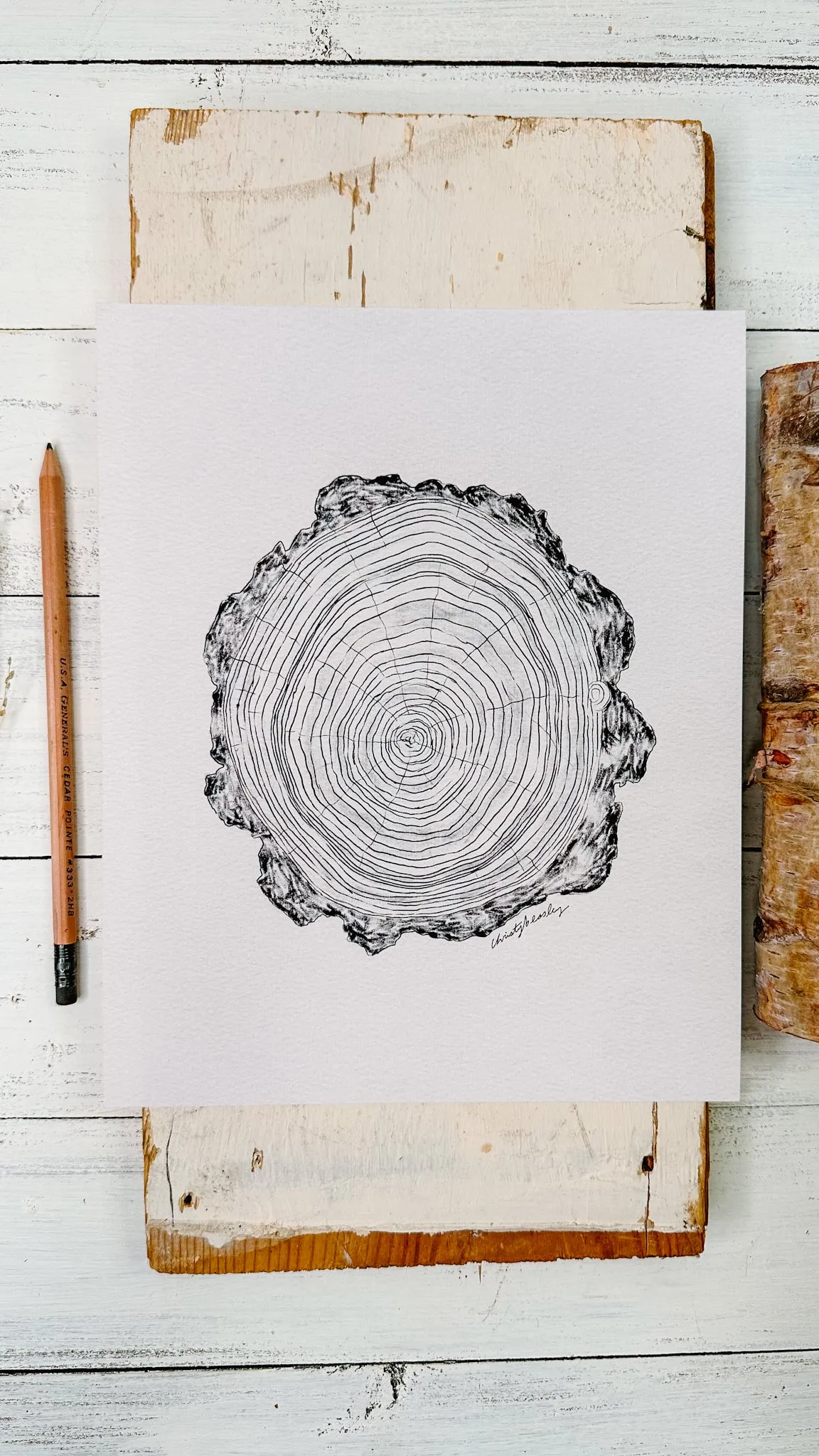 Tree Rings