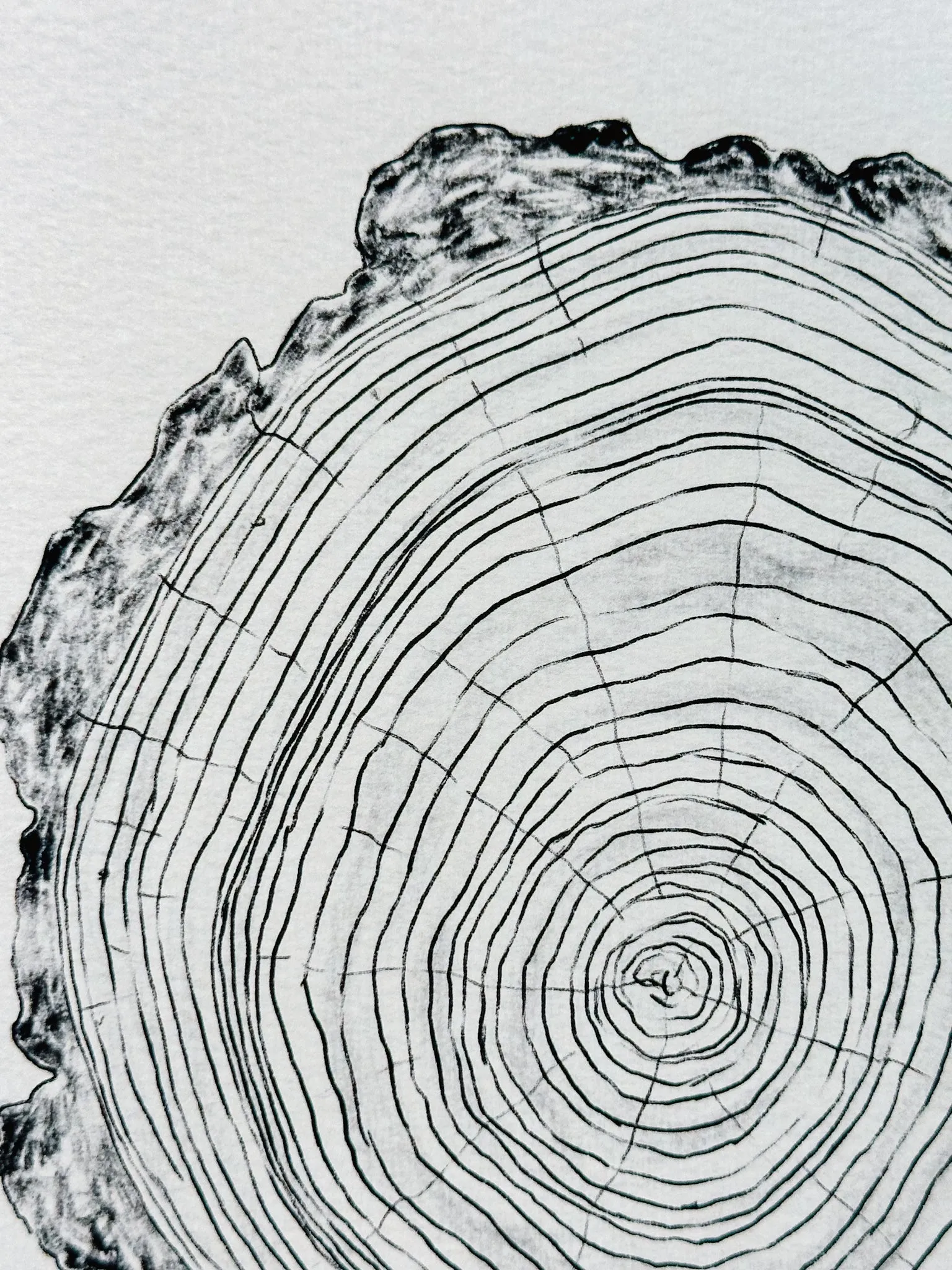 Tree Rings