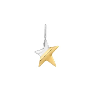 Two Tone Star Charm